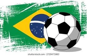 官方：26岁的前比利时国脚、国米旧将范赫斯登退役